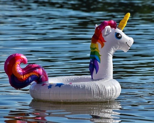 Das Foto zeigt ein schwimmendes Einhorn und steht symbolisch für das Blog-Thema „Unicorn Hunting".