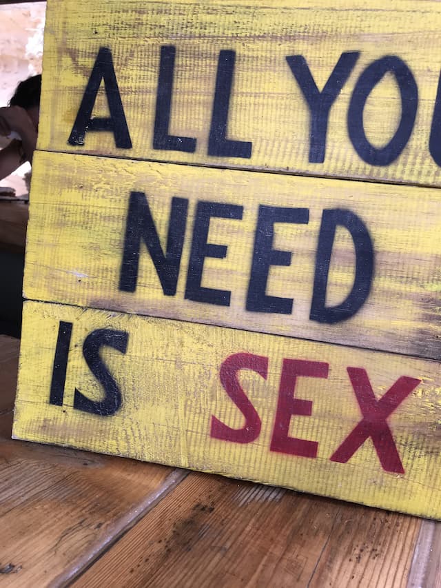 Das Bild zeigt ein Holzschild mit der Aufschrift „All you need is Sex“ und dient als Titelbild für das Thema „Neue Sextrends 2023“.