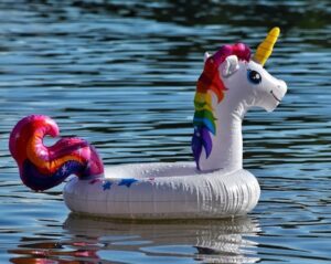 Das Foto zeigt ein schwimmendes Einhorn und steht symbolisch für das Blog-Thema „Unicorn Hunting".